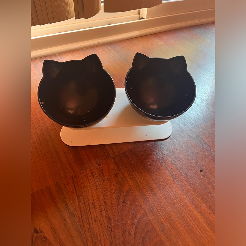 Cat bowl